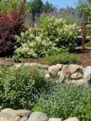 247 Wiley Road Naples ME 04055