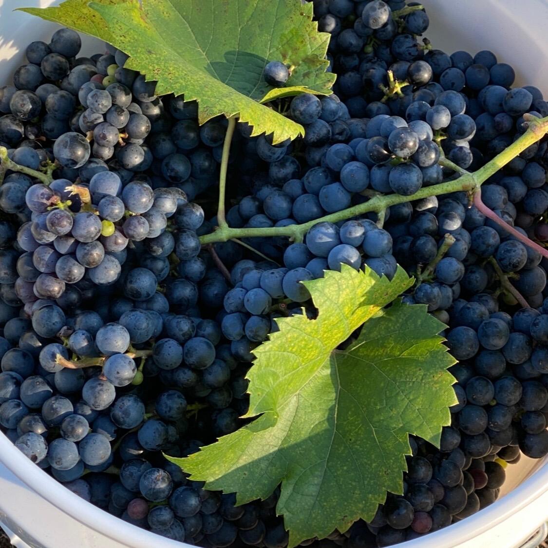 247 Wiley Road Naples ME 04055