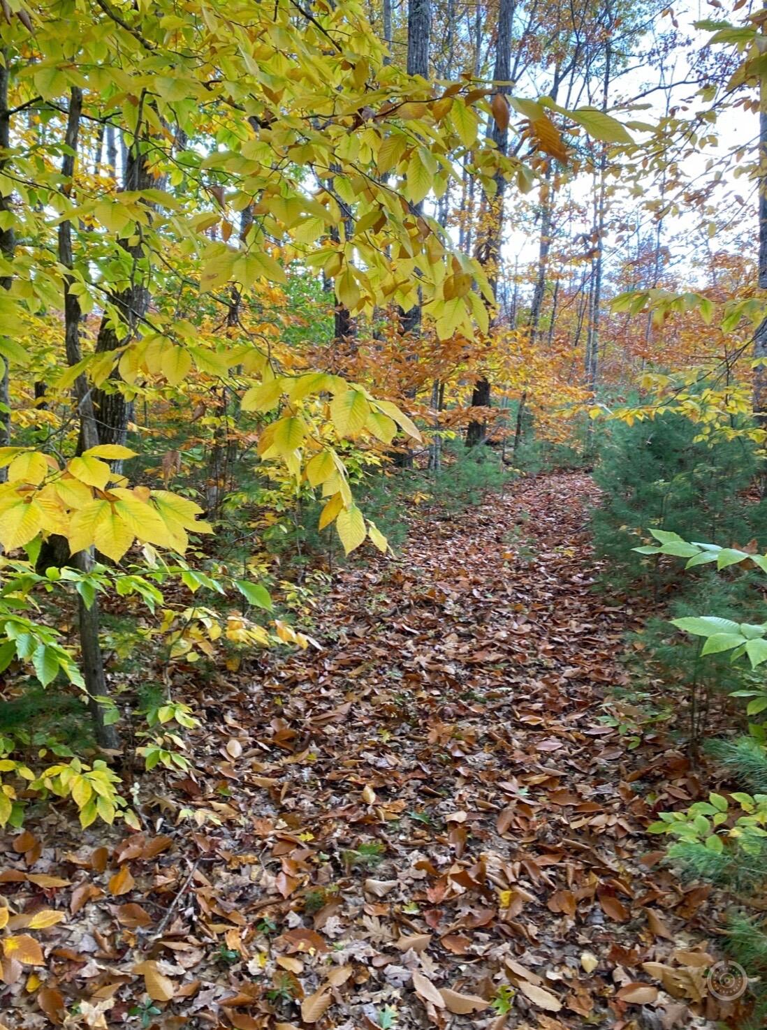 247 Wiley Road Naples ME 04055