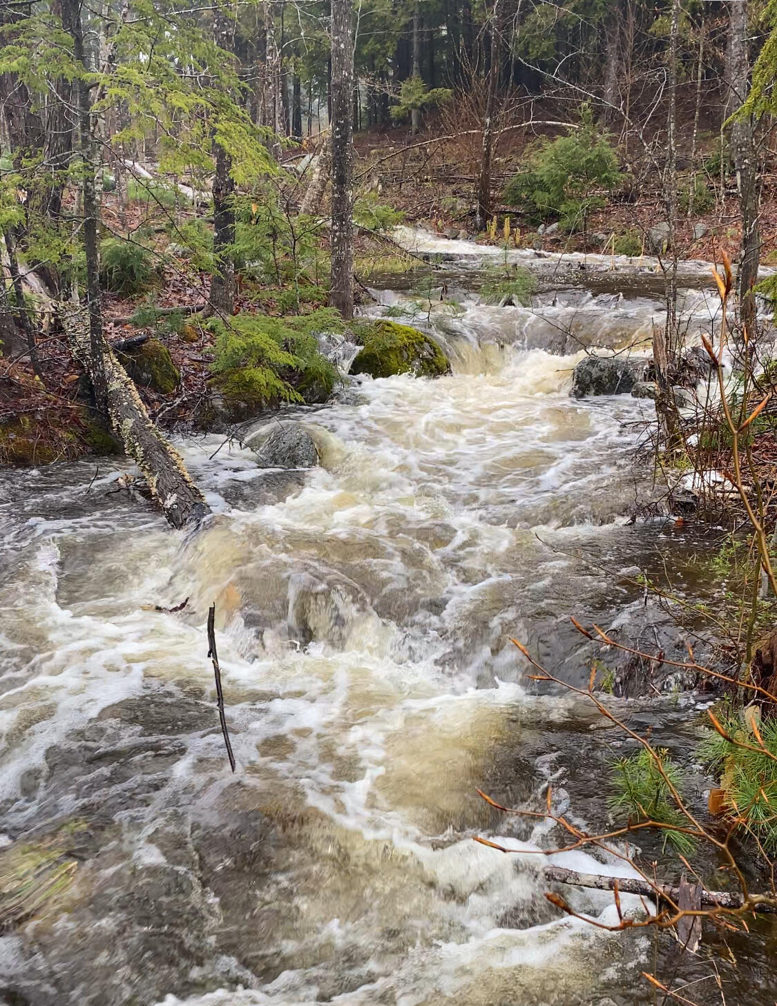 247 Wiley Road Naples ME 04055