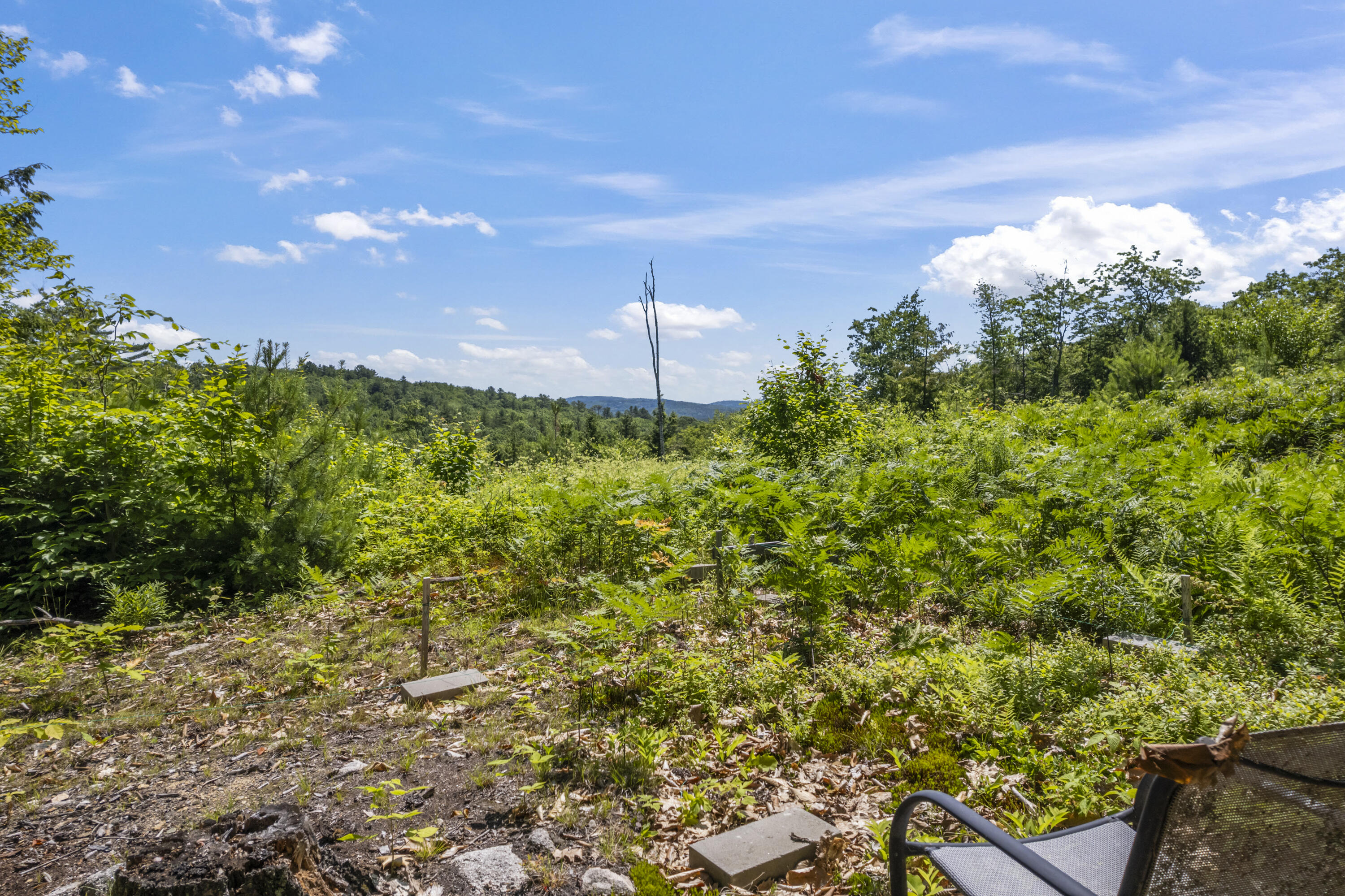 247 Wiley Road Naples ME 04055