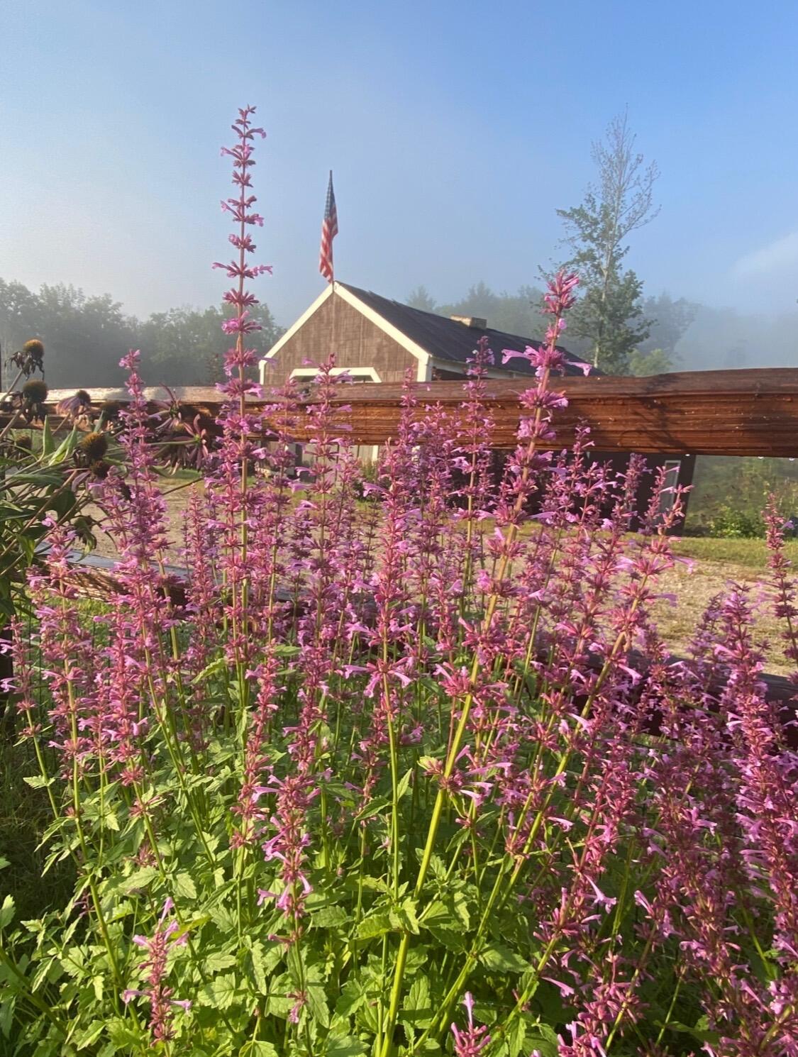 247 Wiley Road Naples ME 04055