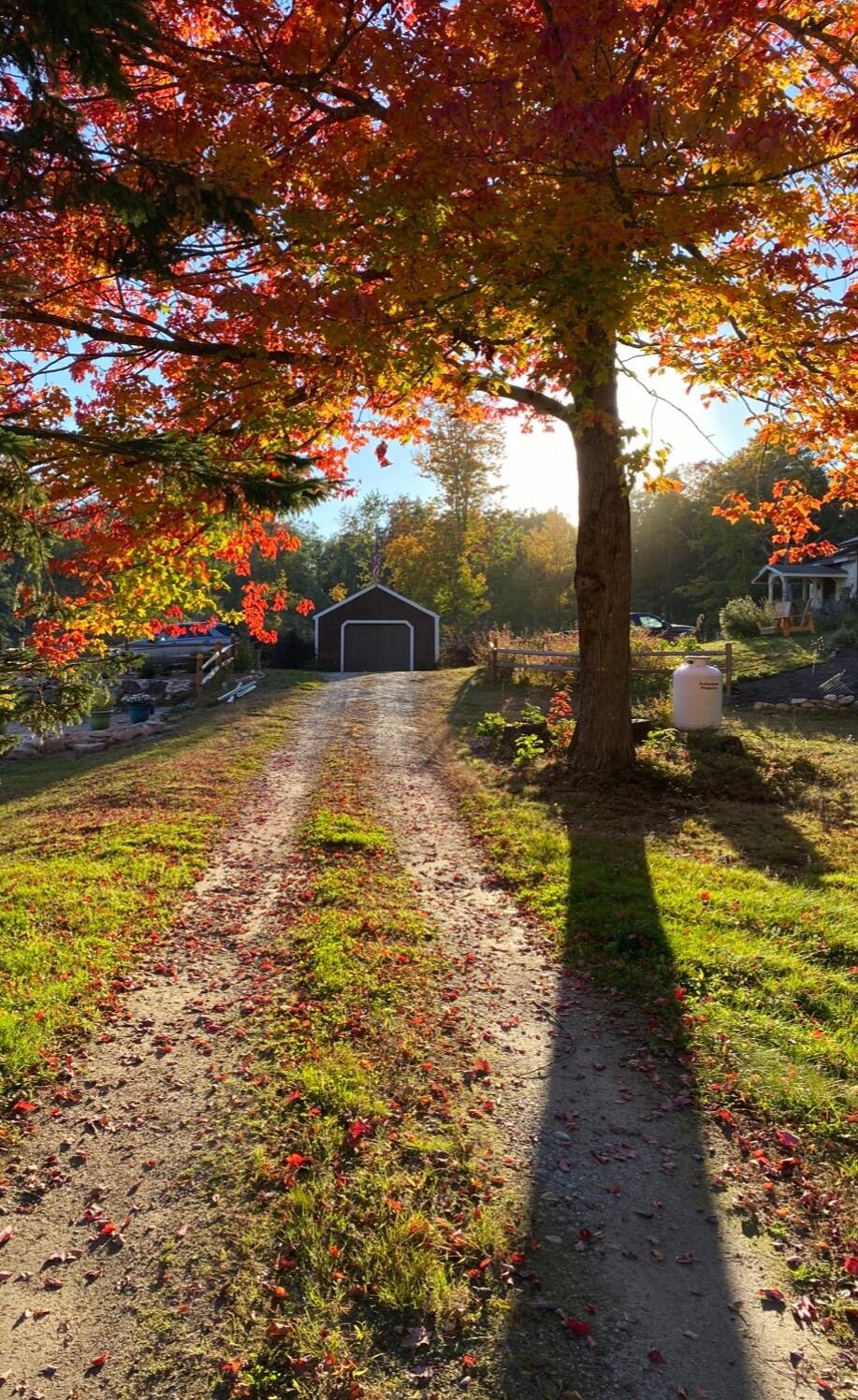 247 Wiley Road Naples ME 04055