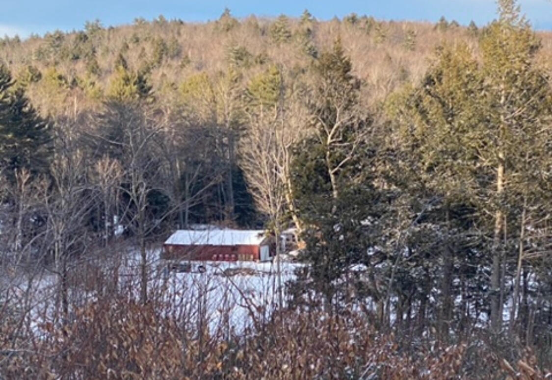 247 Wiley Road Naples ME 04055