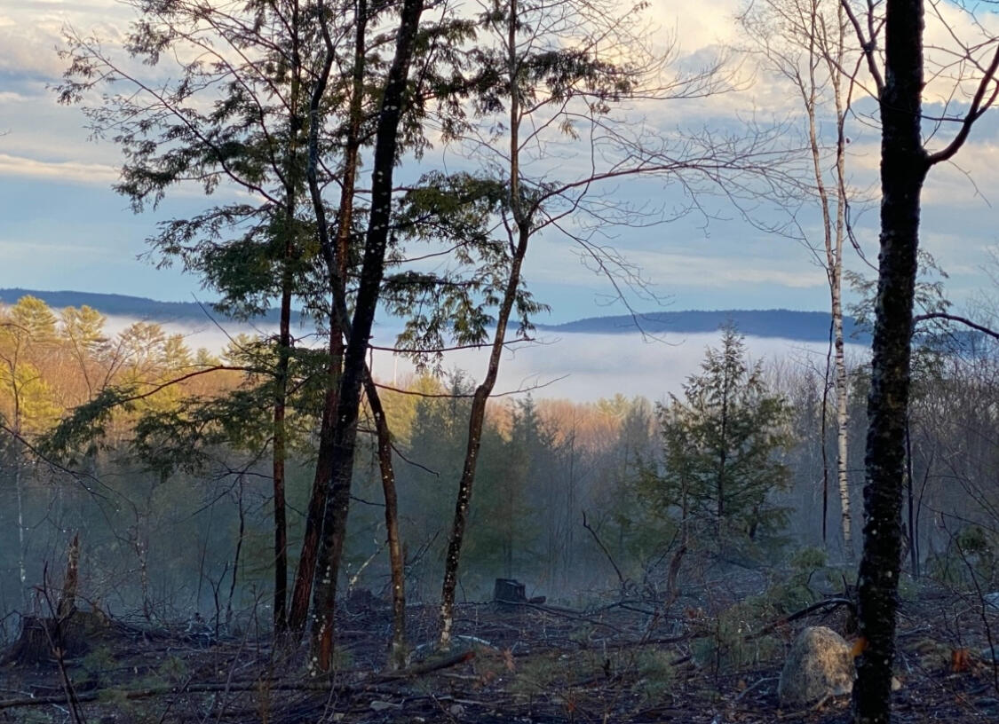 247 Wiley Road Naples ME 04055