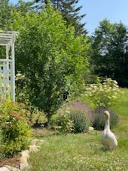 247 Wiley Road Naples ME 04055