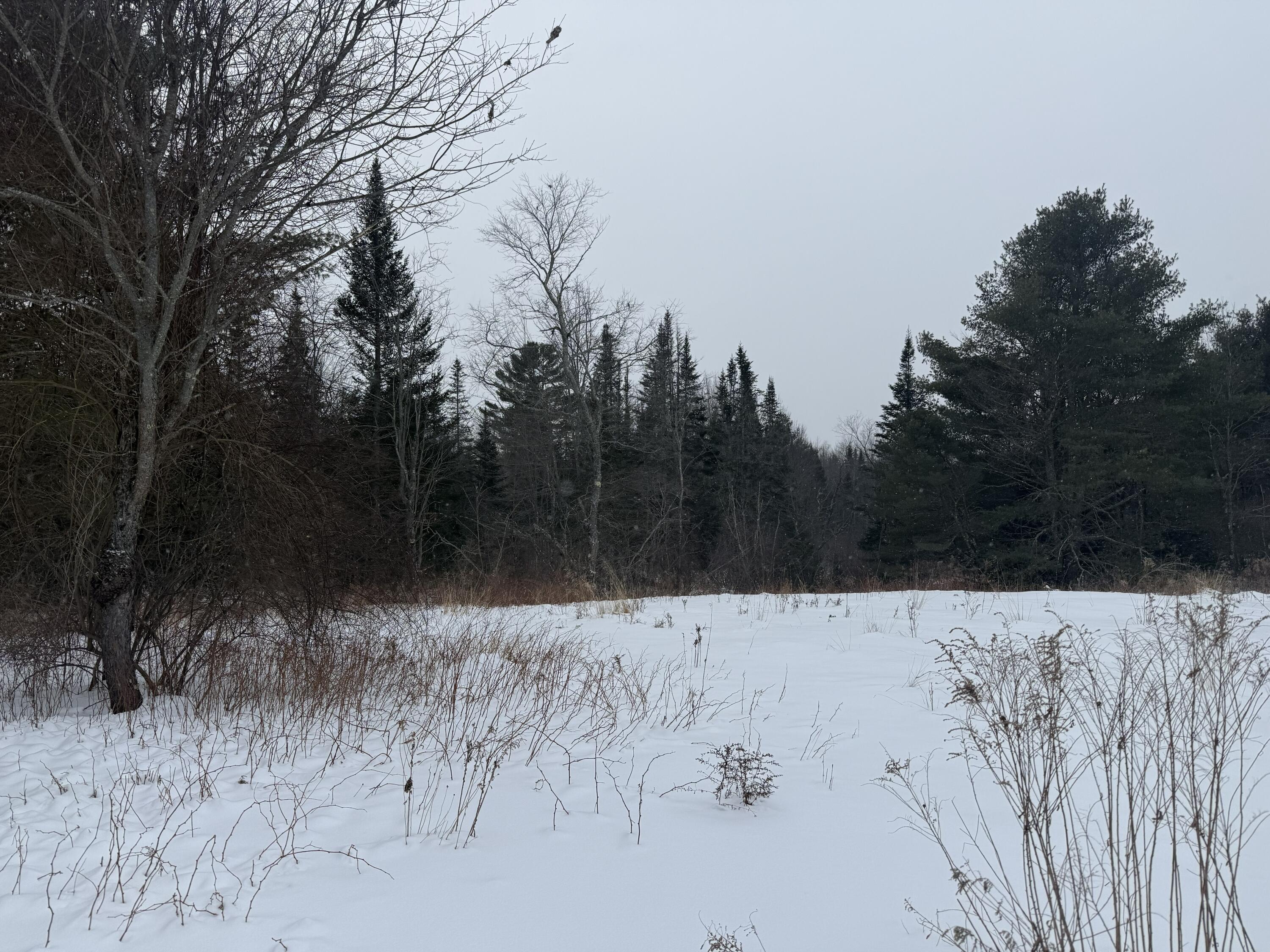 1213 Collinstown Road Appleton ME 04862