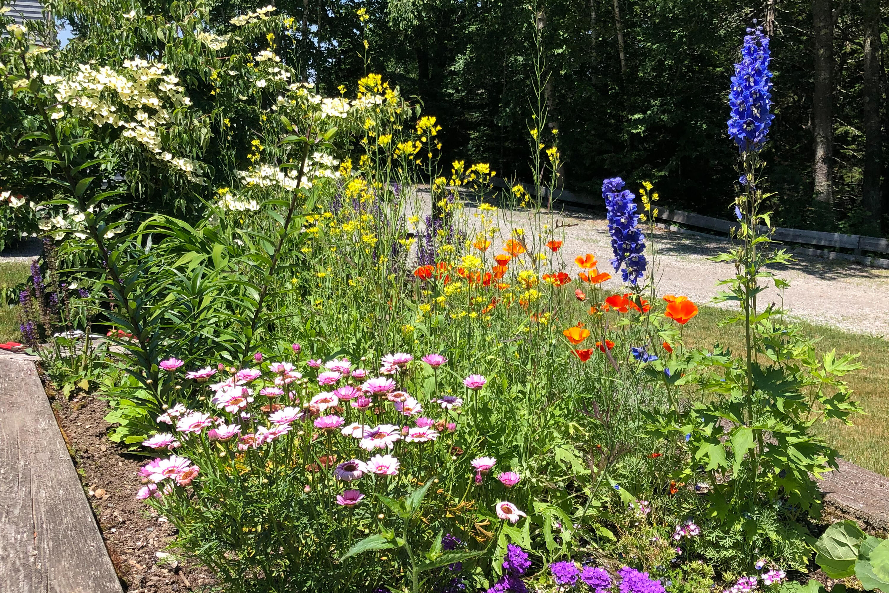 28 Orne Lane Cushing ME 04563