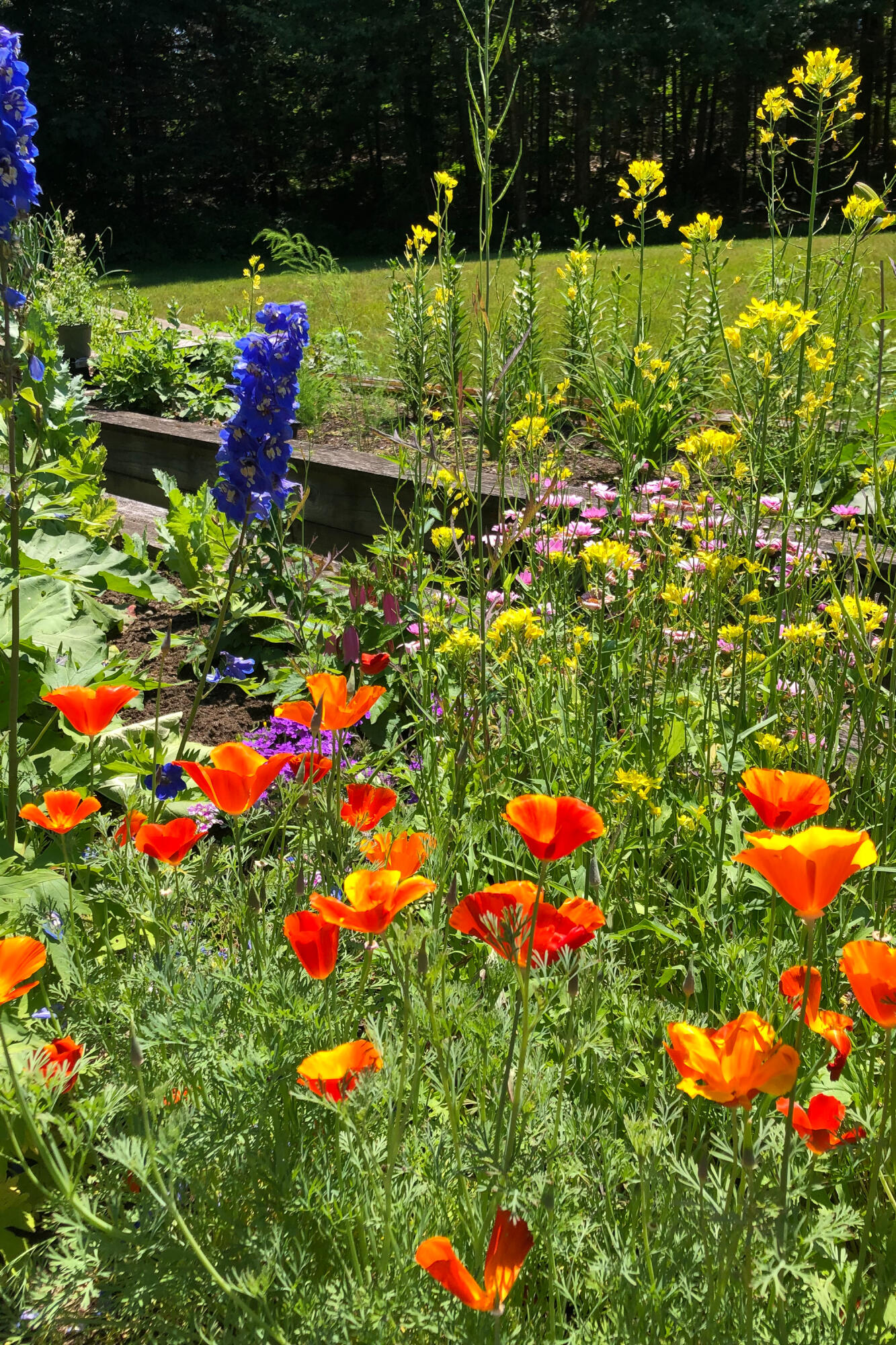 28 Orne Lane Cushing ME 04563