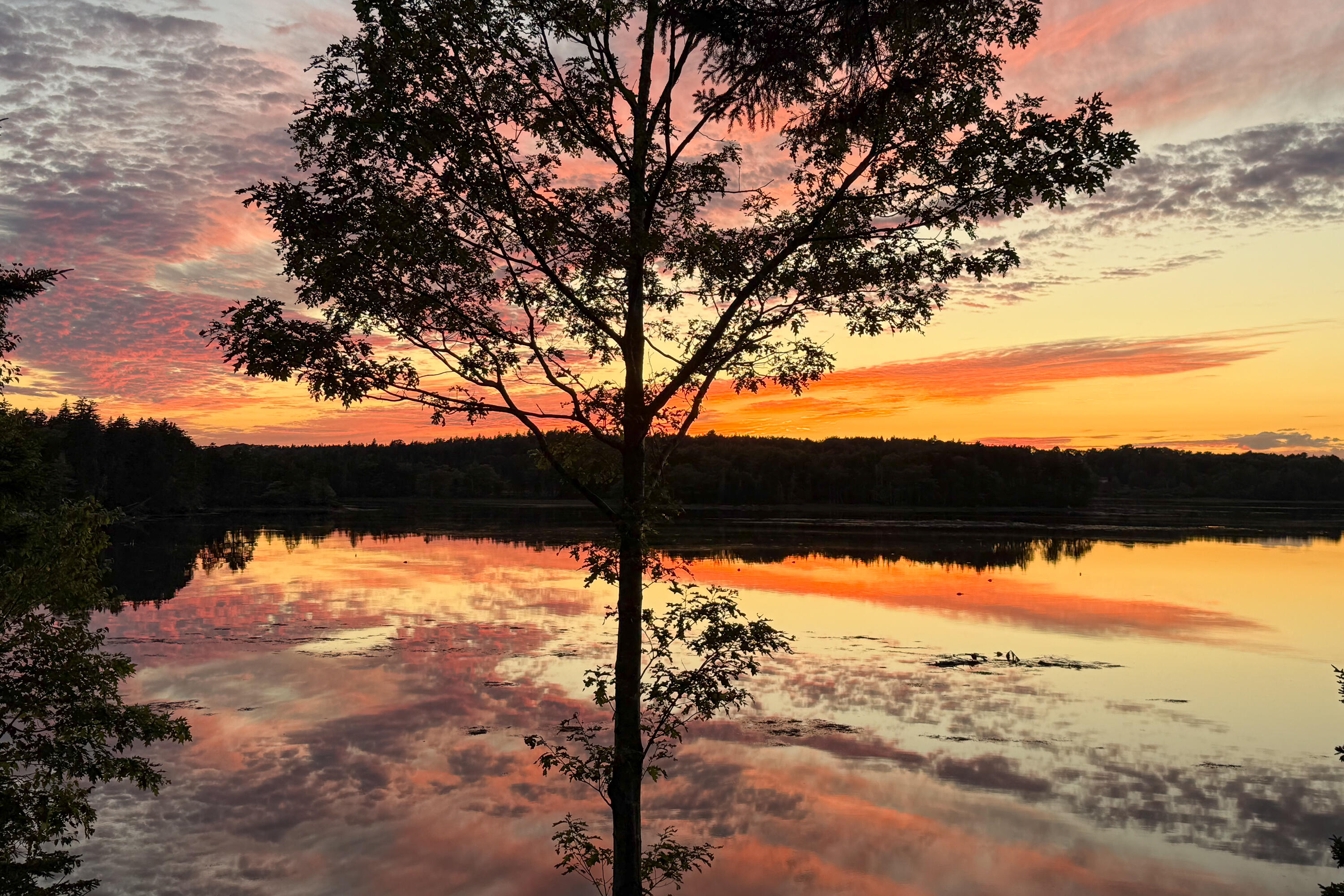 28 Orne Lane Cushing ME 04563