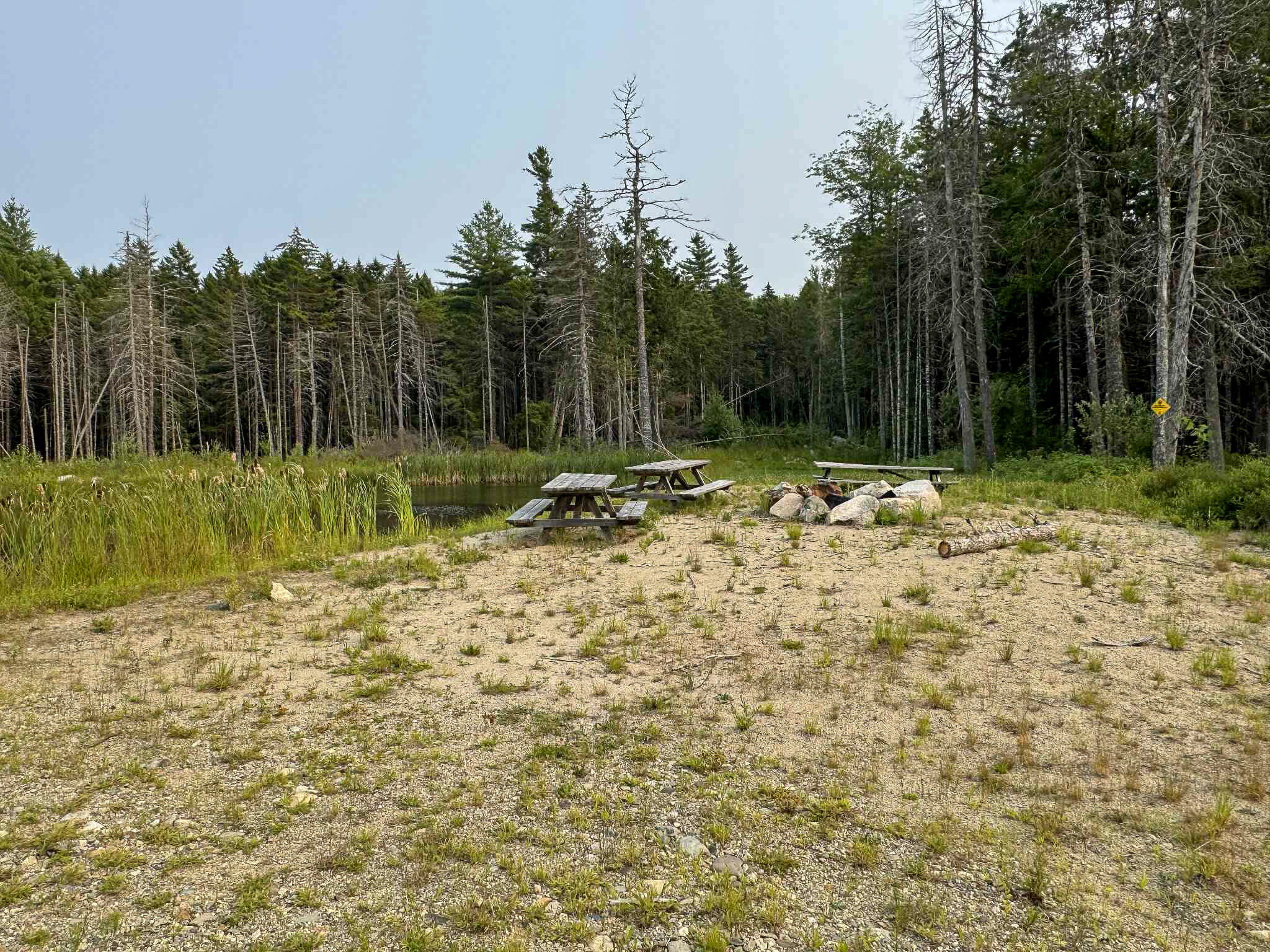 10 Pine Hill Road Wesley ME 04686