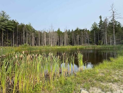 10 Pine Hill Road Wesley ME 04686