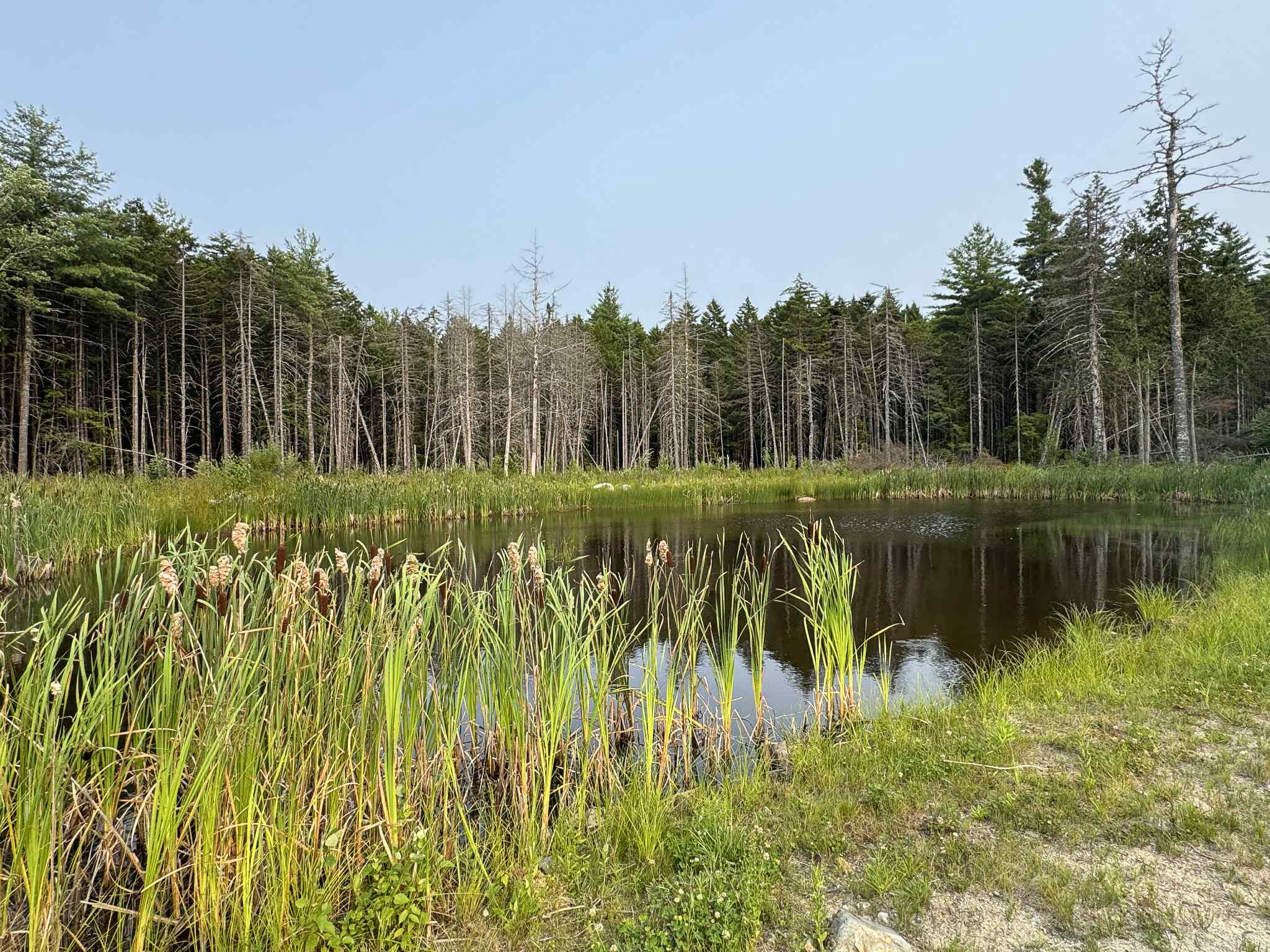 10 Pine Hill Road Wesley ME 04686