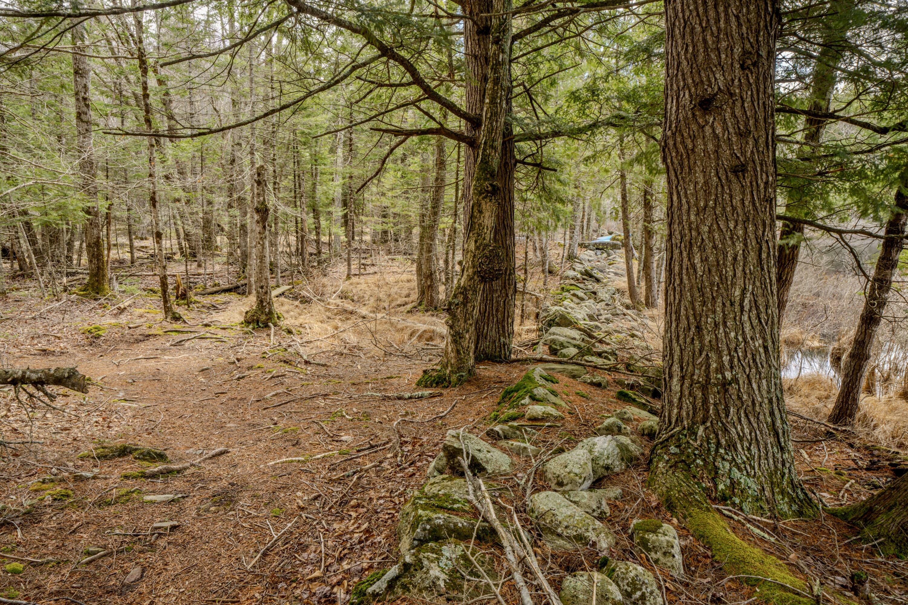 80 Poland Woods Road Morrill ME 04952