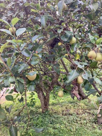 160 Gloucester Hill Road New Gloucester ME 04260