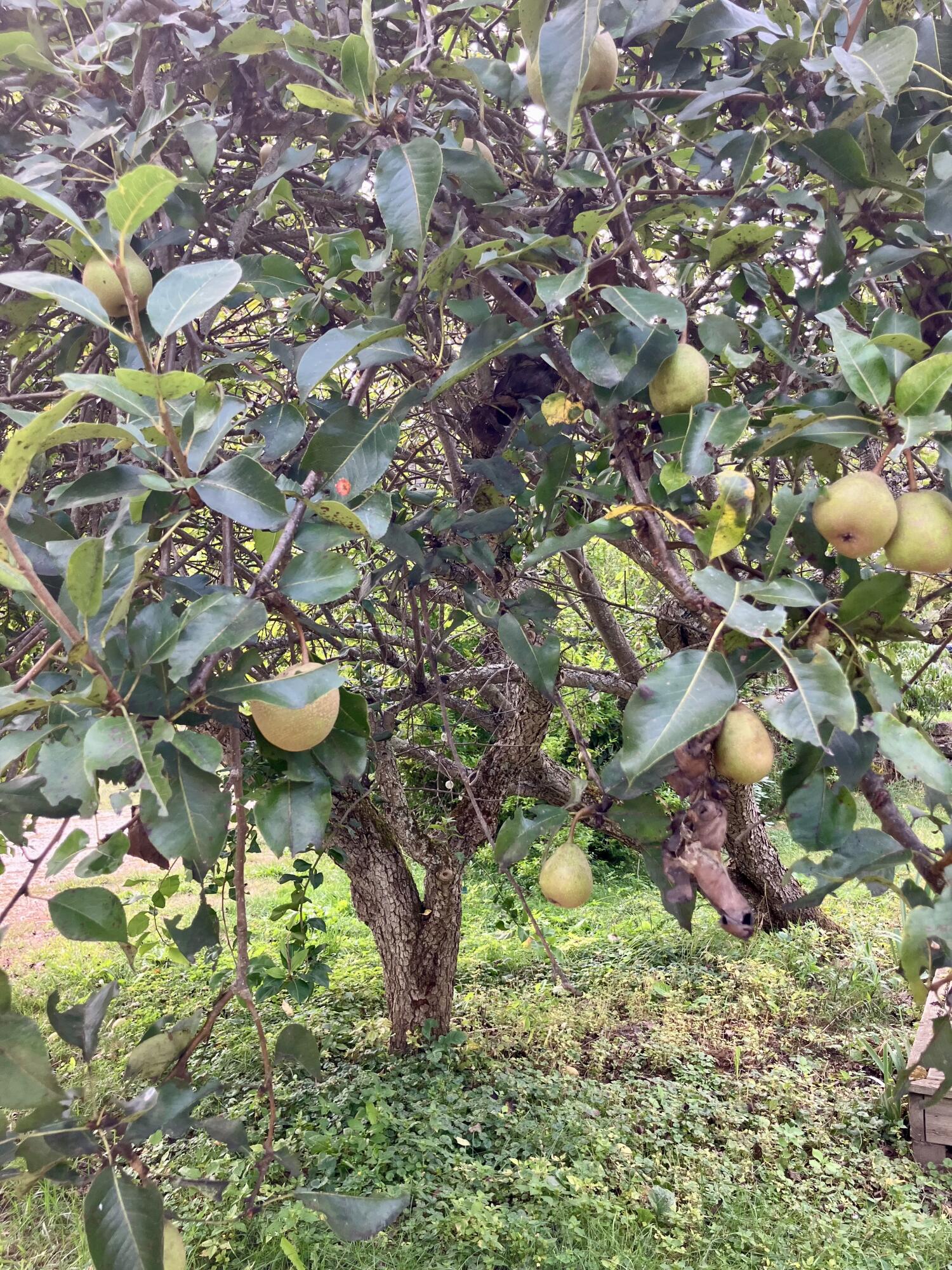 160 Gloucester Hill Road New Gloucester ME 04260