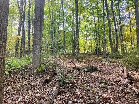 160 Gloucester Hill Road New Gloucester ME 04260