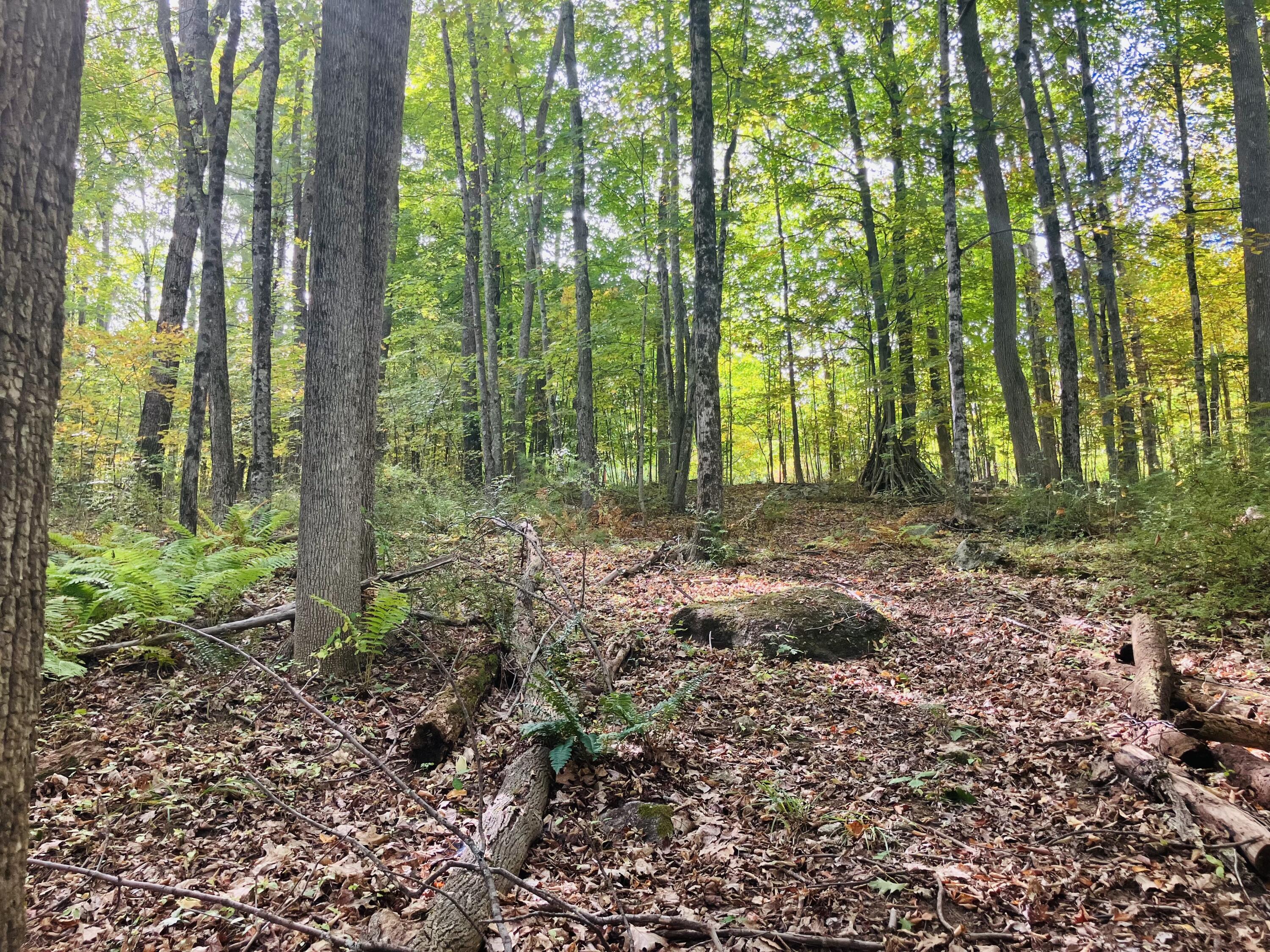 160 Gloucester Hill Road New Gloucester ME 04260