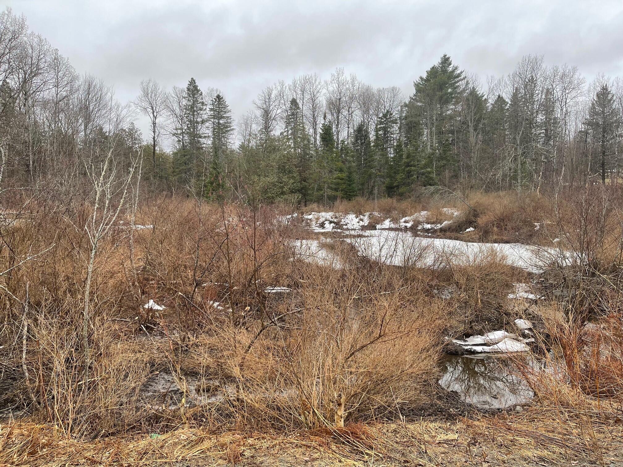 9 Jackson Dexter ME 04930