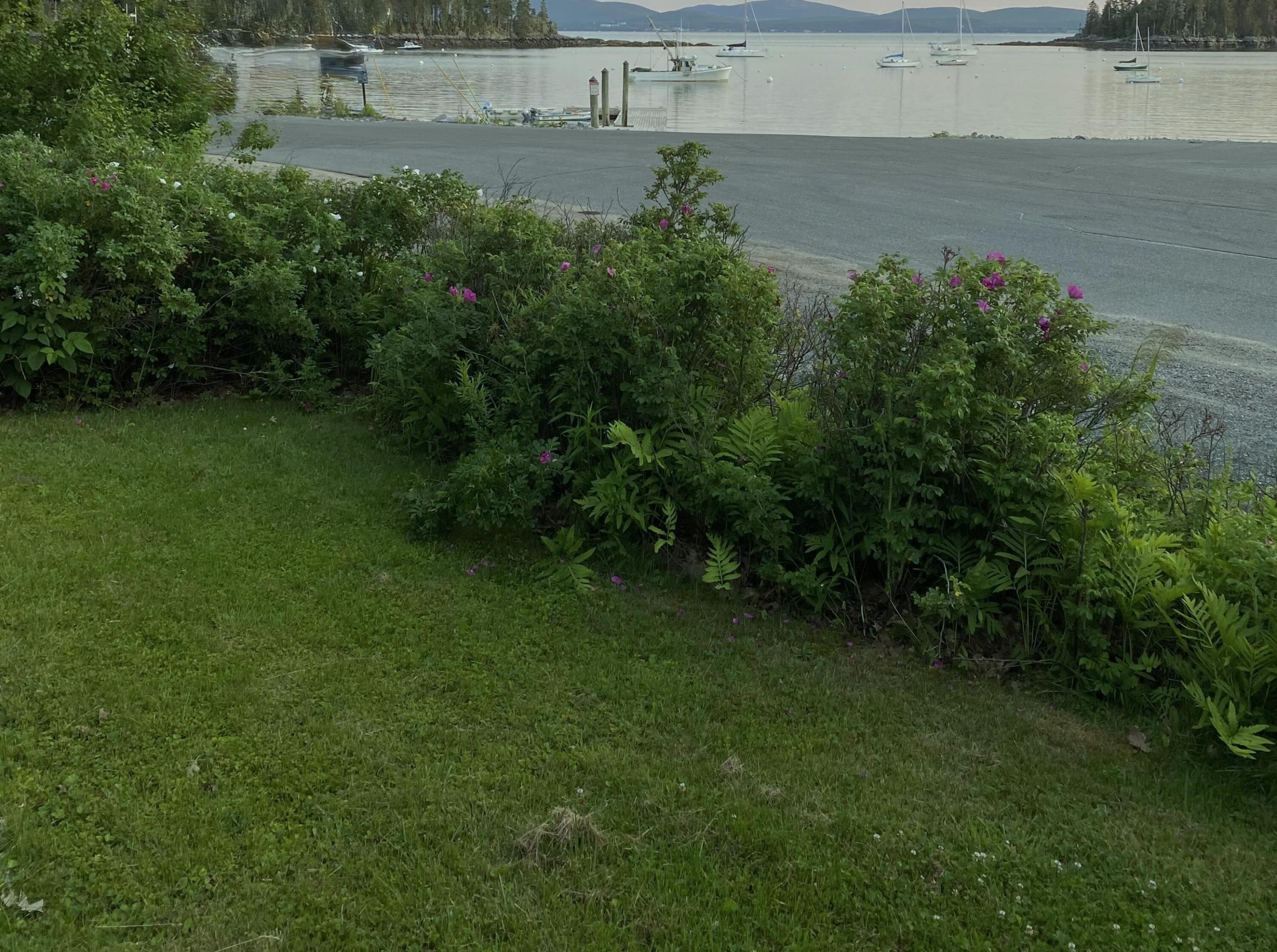 5 Main Street Sorrento ME 04677