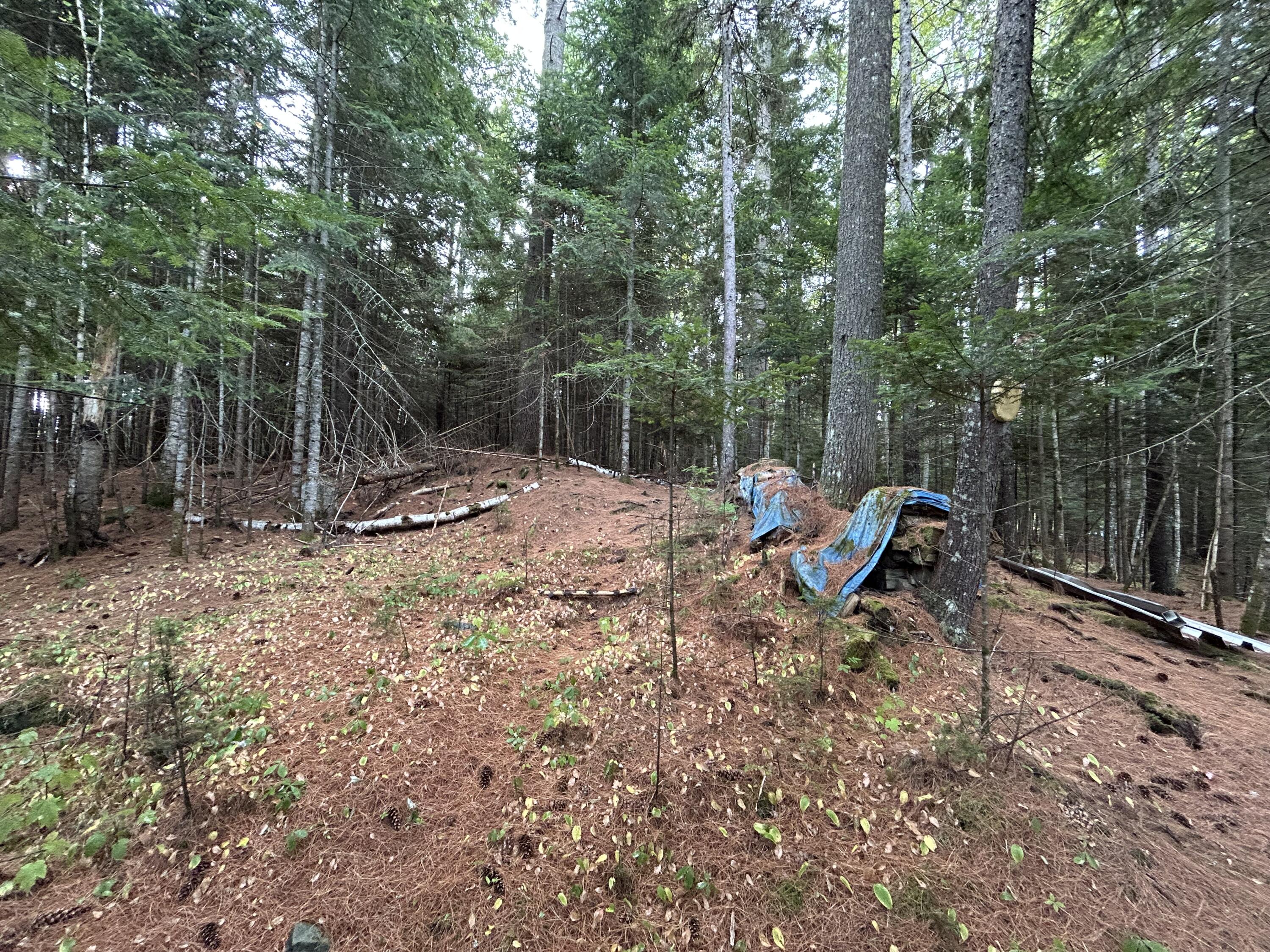 4 Gilbert Circle Rangeley ME 04970