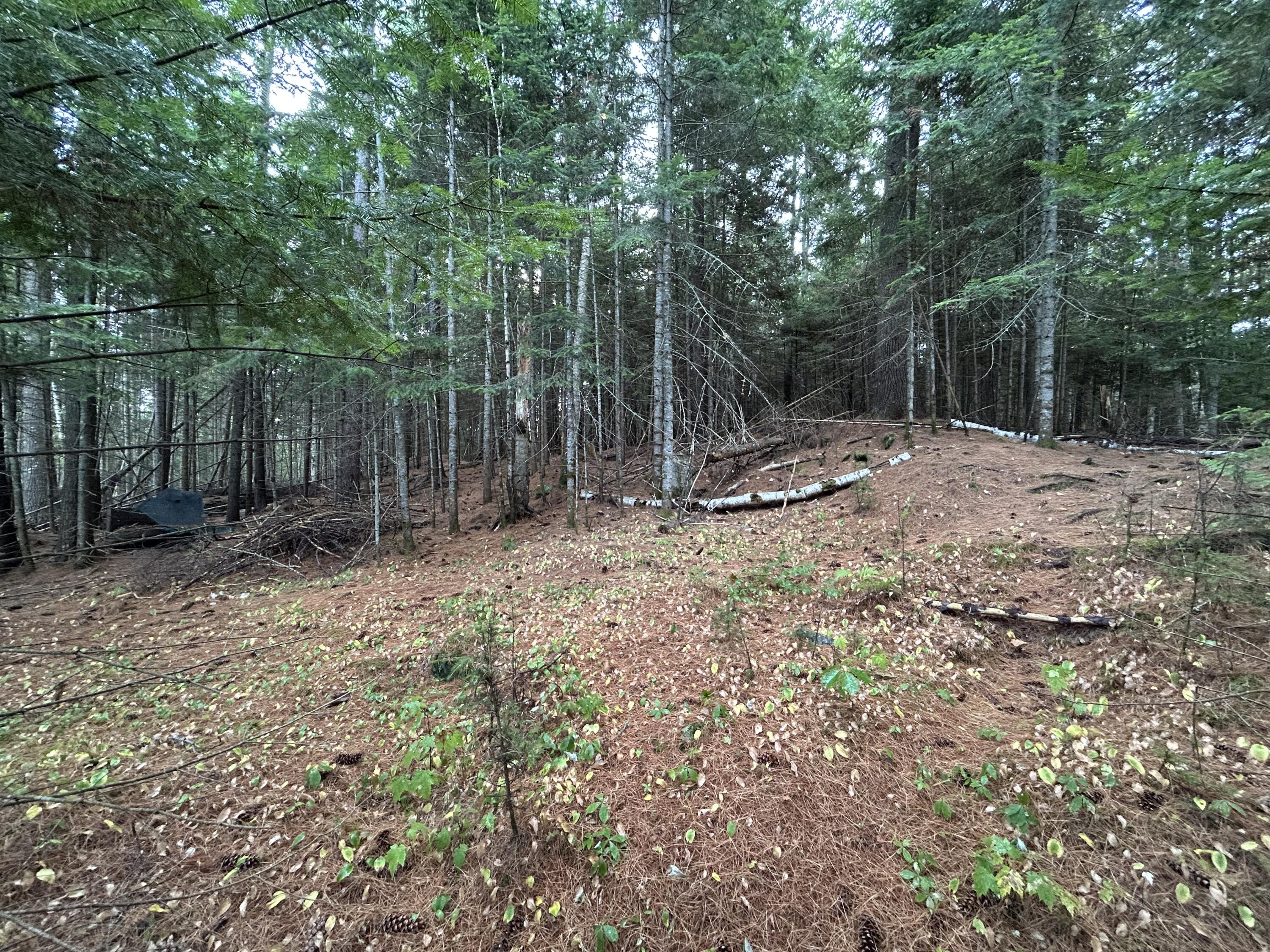 4 Gilbert Circle Rangeley ME 04970