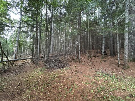 4 Gilbert Circle Rangeley ME 04970