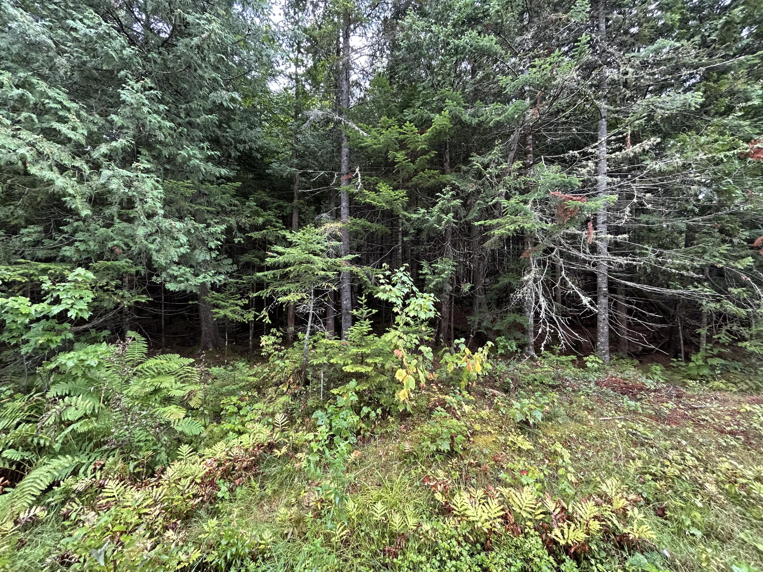 4 Gilbert Circle Rangeley ME 04970