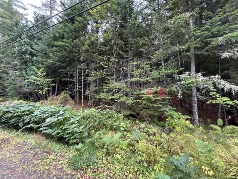 4 Gilbert Circle Rangeley ME 04970