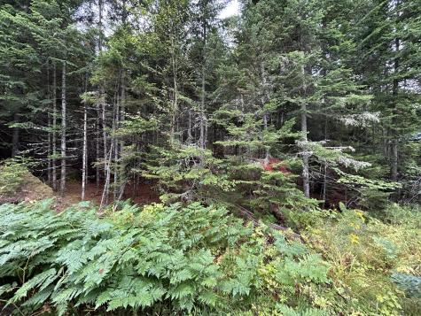 4 Gilbert Circle Rangeley ME 04970