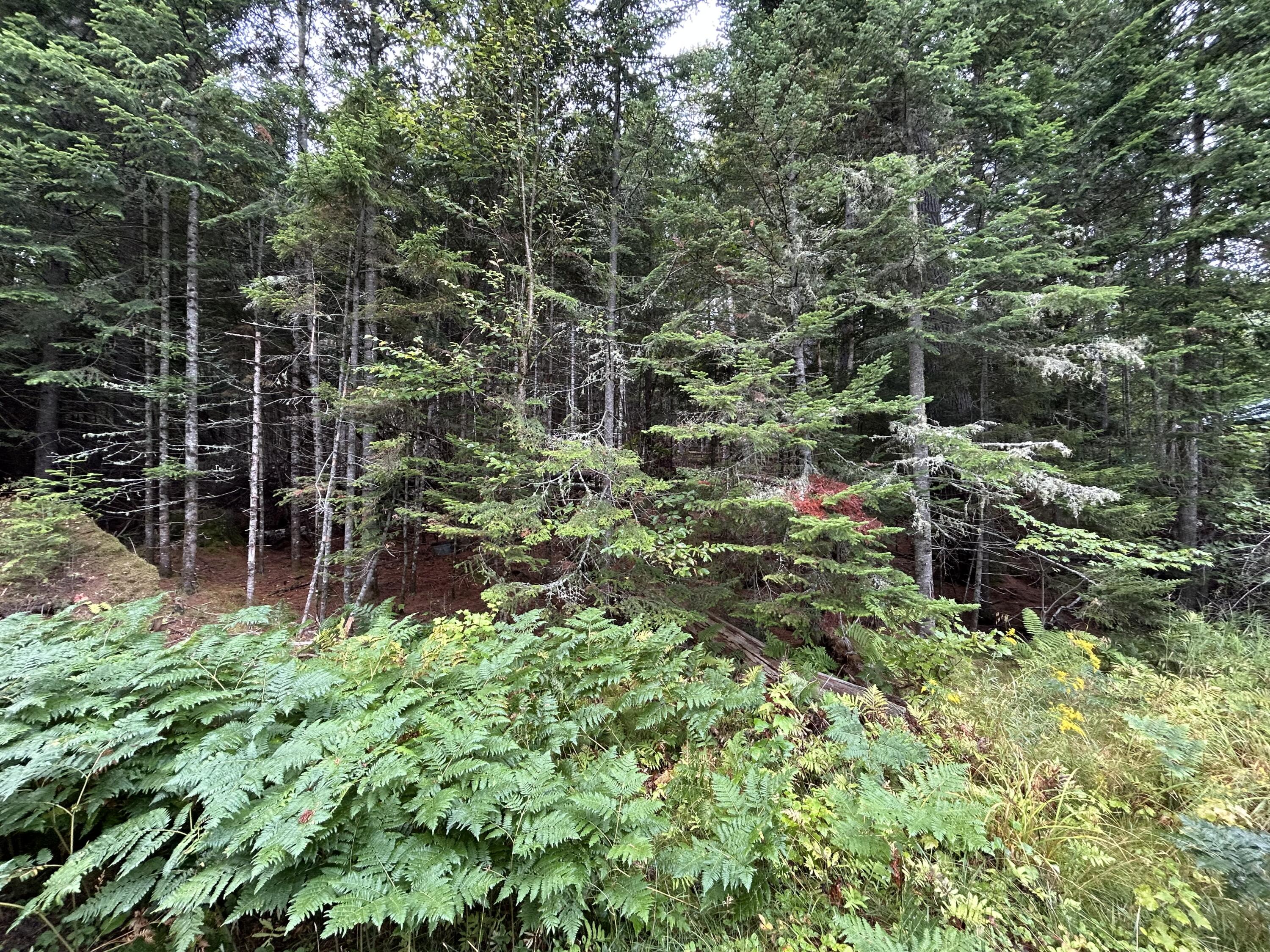 4 Gilbert Circle Rangeley ME 04970