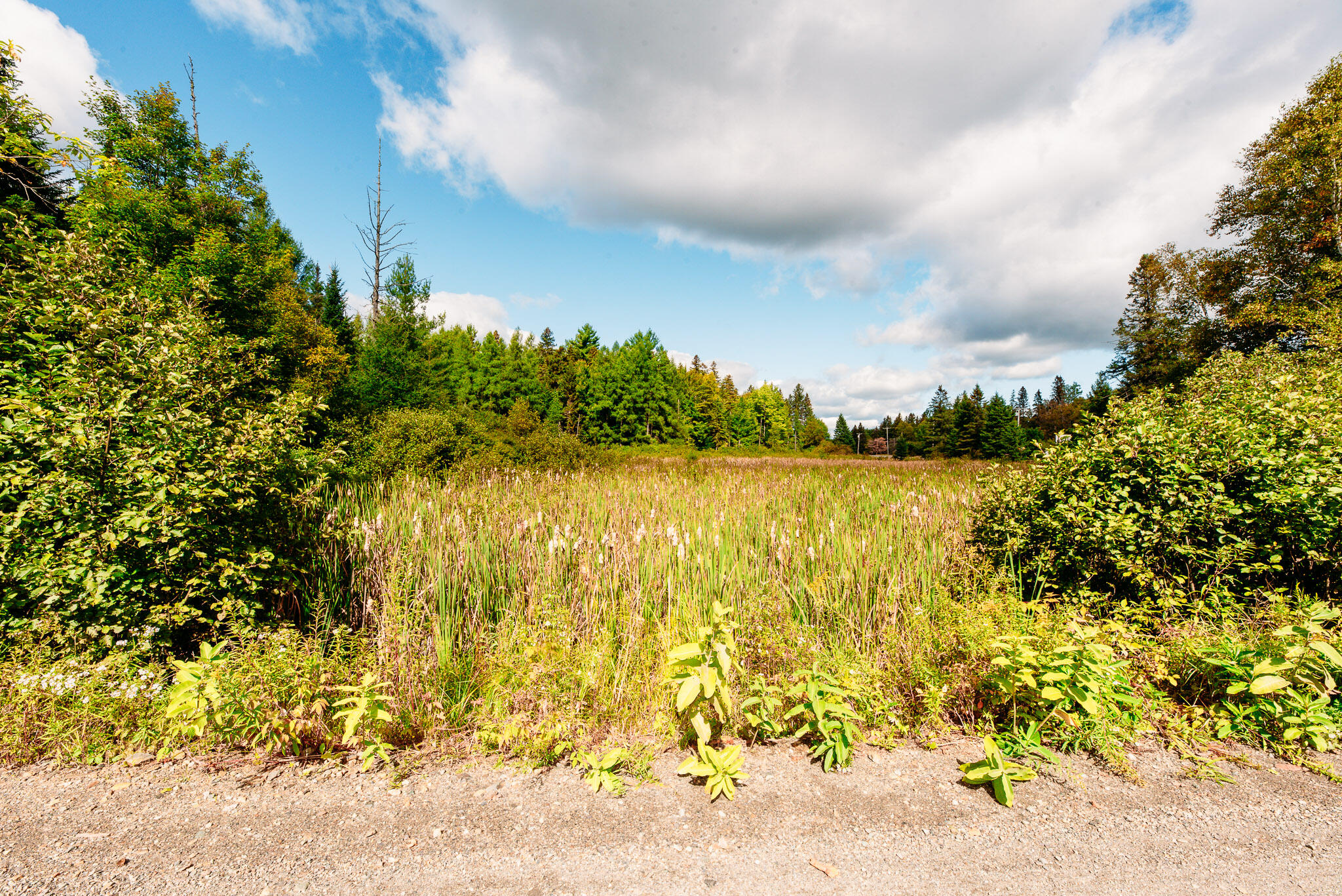 14 Dam Road Coplin Plt ME 04982