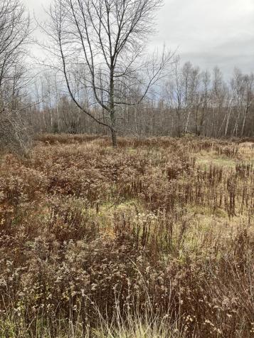 378 Airline Road Baileyville ME 04694