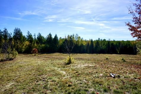 780 Spring Bridge Road Greenbush ME 04418