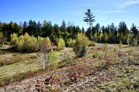 780 Spring Bridge Road Greenbush ME 04418