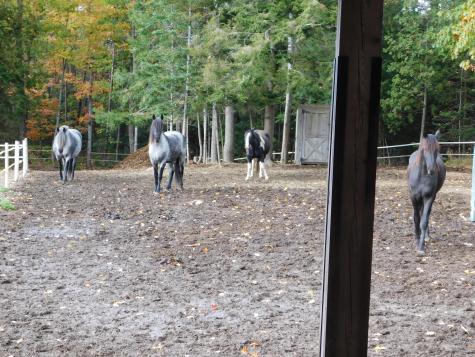 23 Granite Ledge Lane Orrington ME 04474