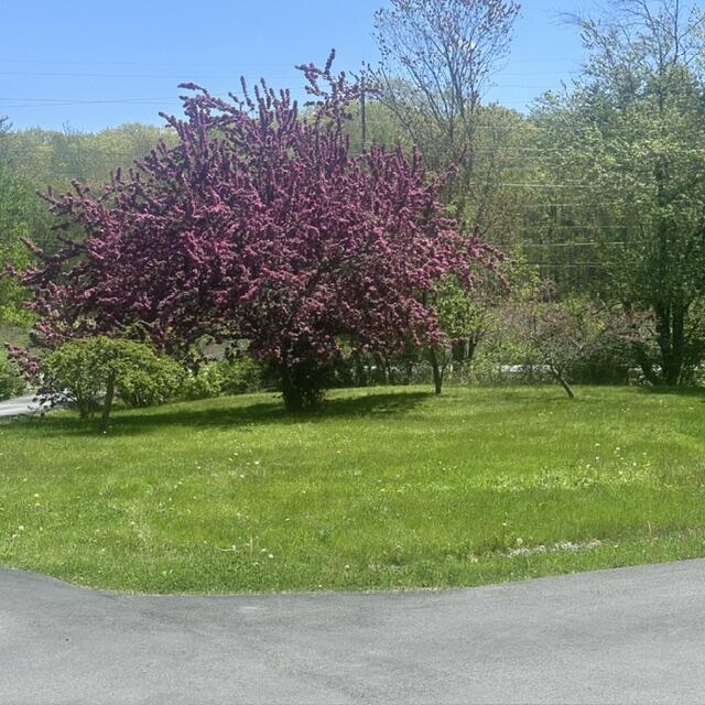 296 Dow Highway South Berwick ME 03908