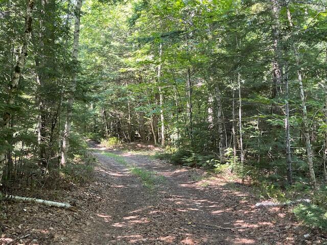 Wa033 Sunset Cove Road Big Lake Twp ME 04668