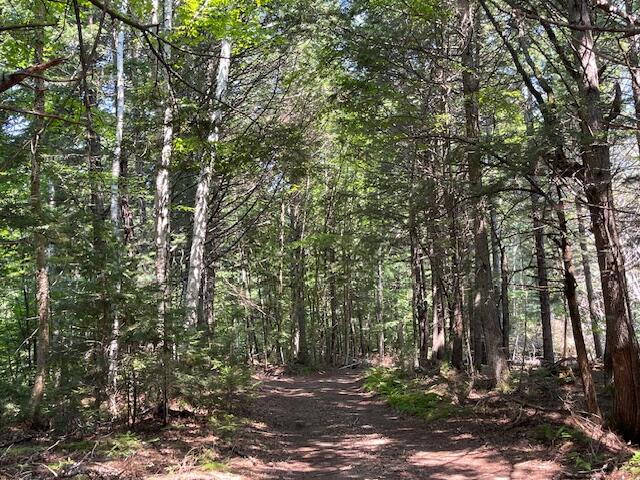 Wa033 Sunset Cove Road Big Lake Twp ME 04668