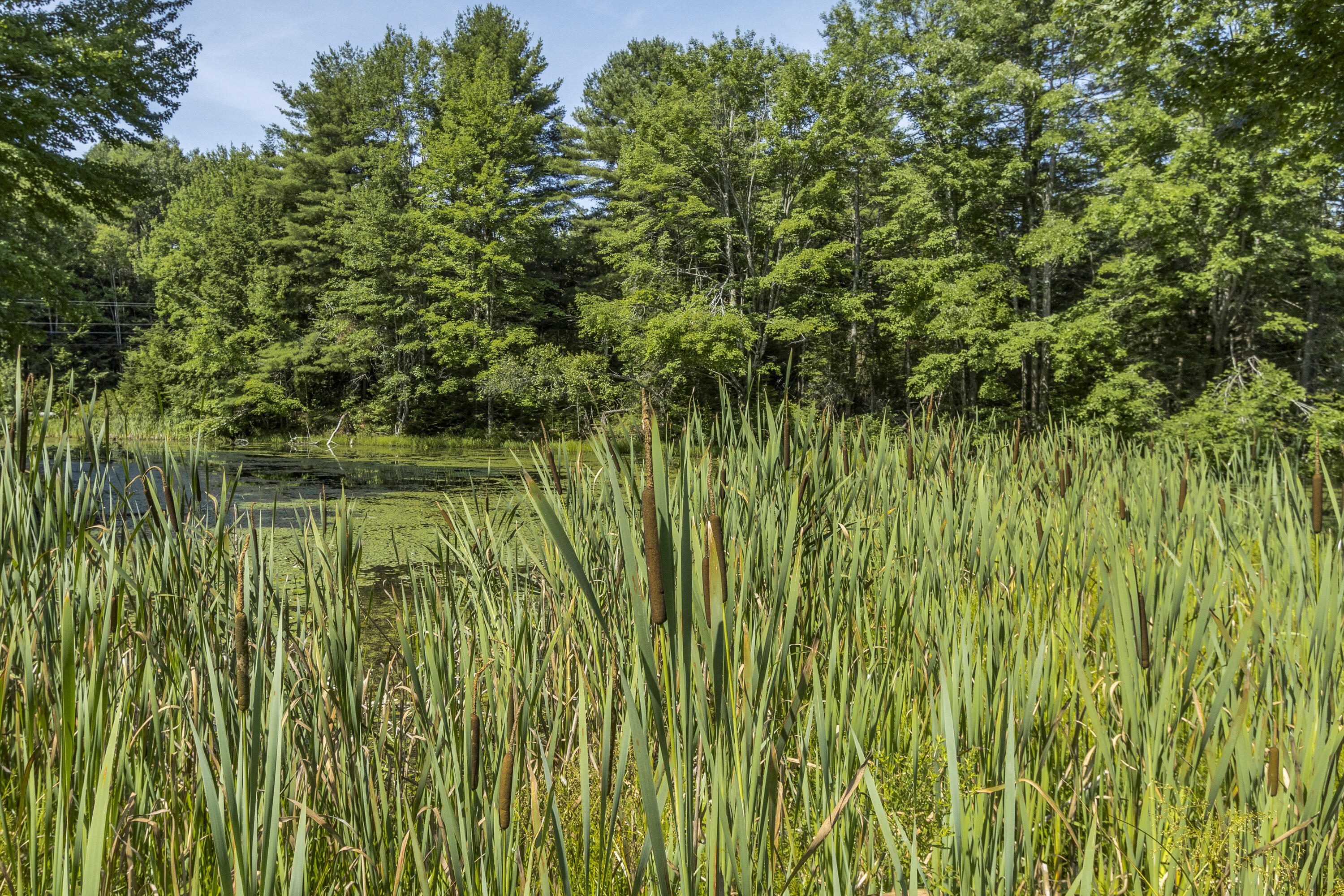 33 Rabbit Road Durham ME 04222