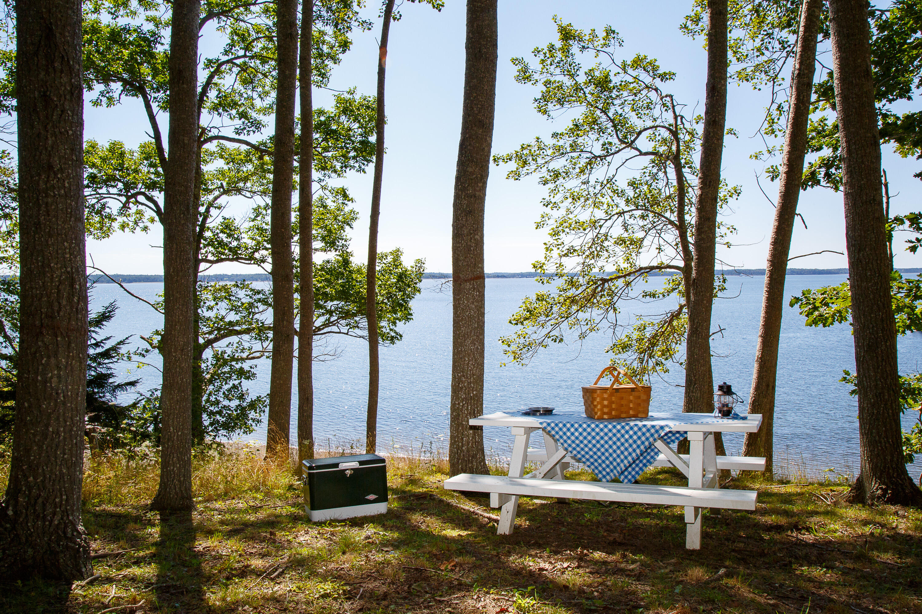 286 Atlantic Highway Northport ME 04849