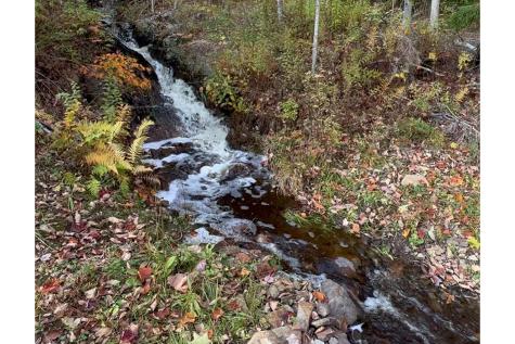 286 Atlantic Highway Northport ME 04849