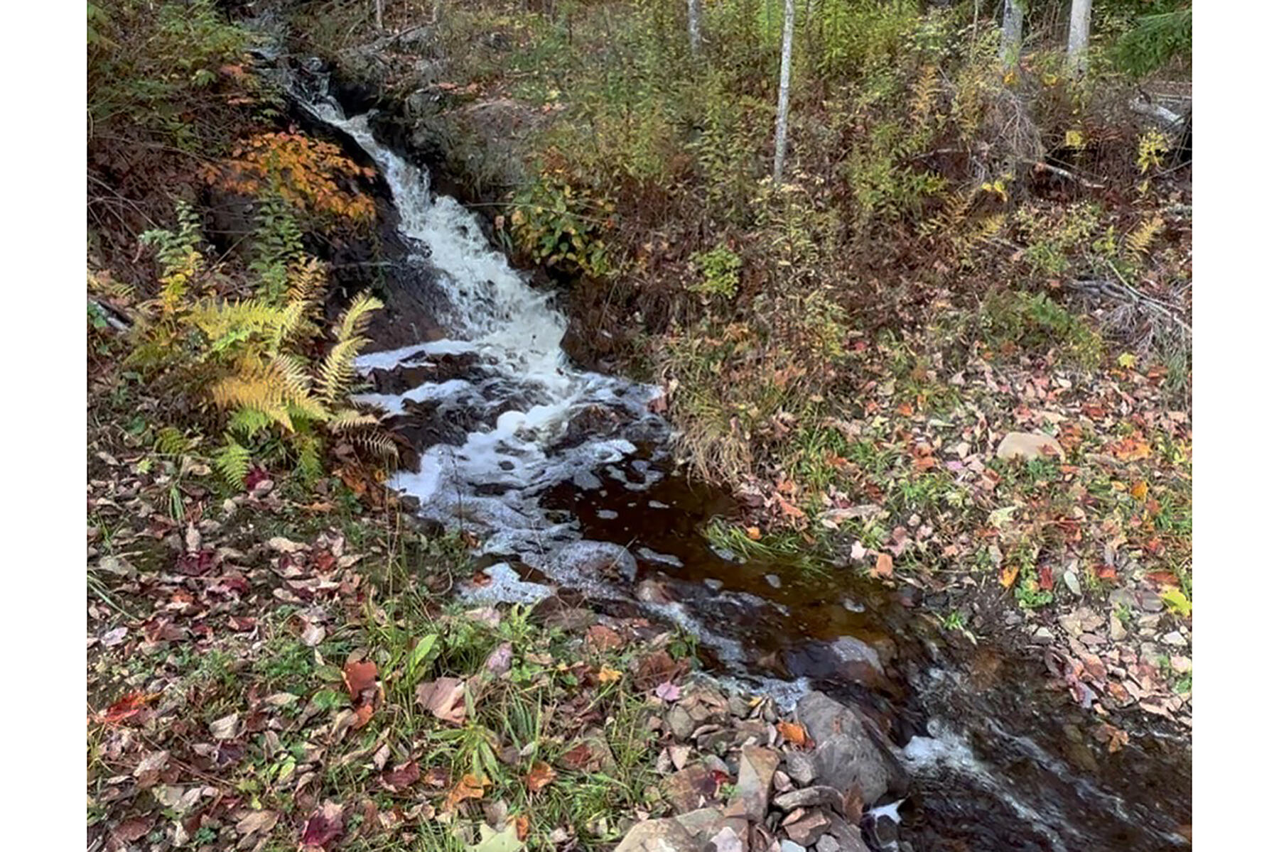 286 Atlantic Highway Northport ME 04849