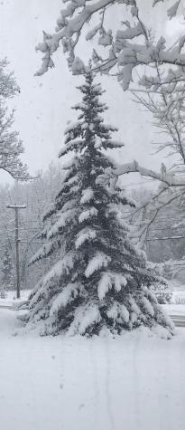 77 Portland Road Bridgton ME 04009