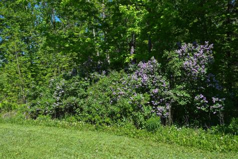 29 Rutland Road Troy ME 04987