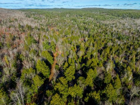 1237 Ayers Junction Road Charlotte ME 04666