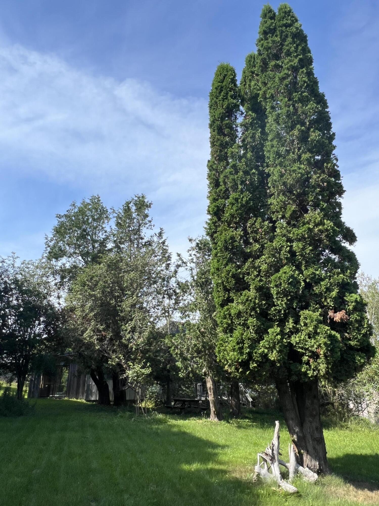 17 Clark Street Eastport ME 04631