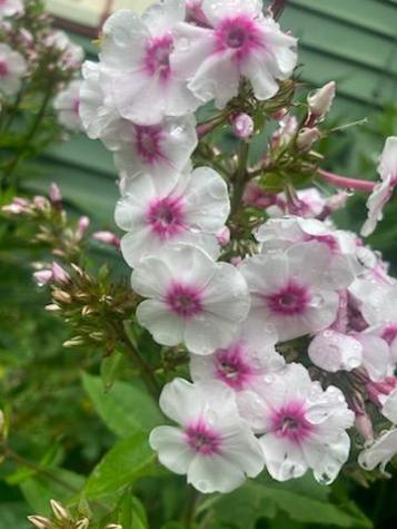 443 Unity Road Albion ME 04910