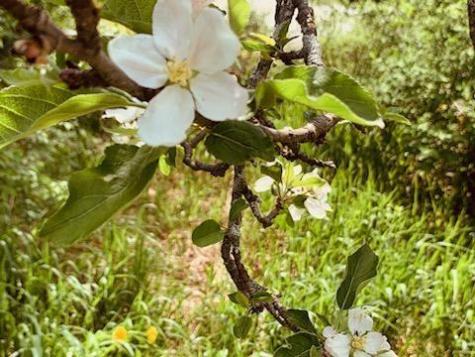 443 Unity Road Albion ME 04910