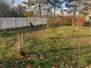 443 Unity Road Albion ME 04910